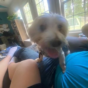 Meet your Posher, Benjamin